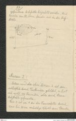 Seite 33, Tagebuch "Kamegg | Horn² (NHMW-PRAE-BBB-27)